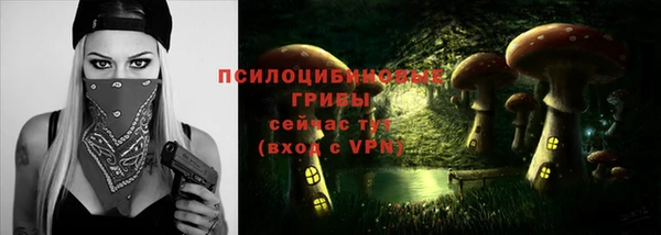 соль курить ск Белокуриха