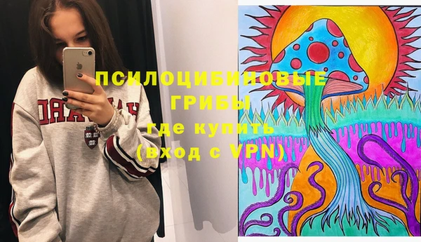 соль курить ск Белокуриха
