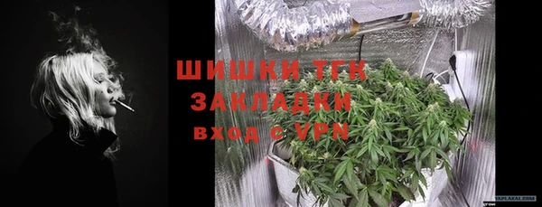 мдпв Елабуга